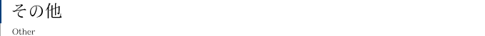 その他